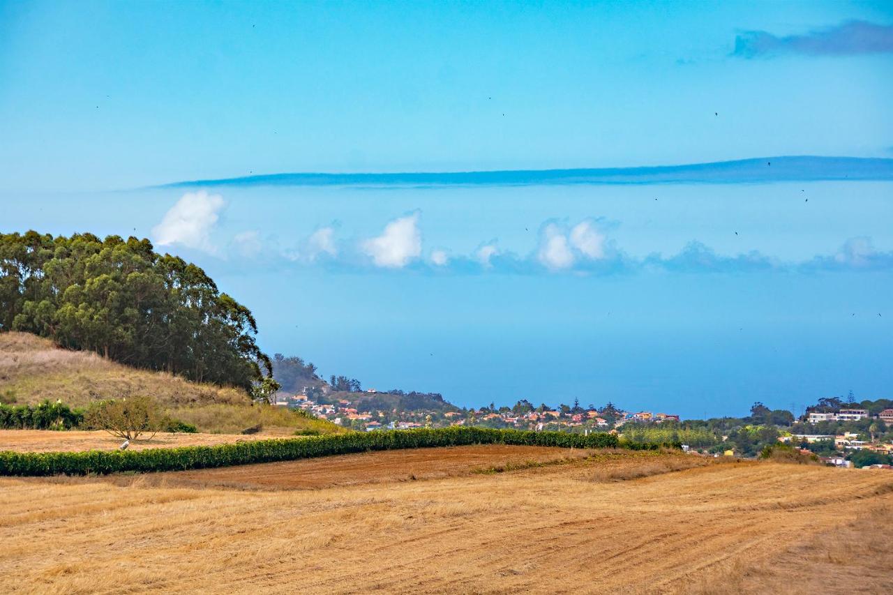Finca La Casa Verde Σαν Κριστόμπαλ ντε Λα Λαγούνα Εξωτερικό φωτογραφία